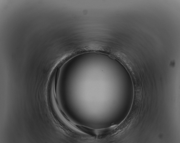 X0000097970395200804011726