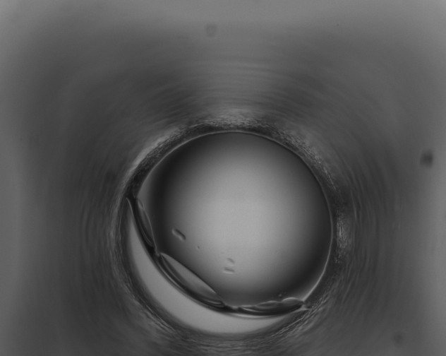 X0000097970396200804011726