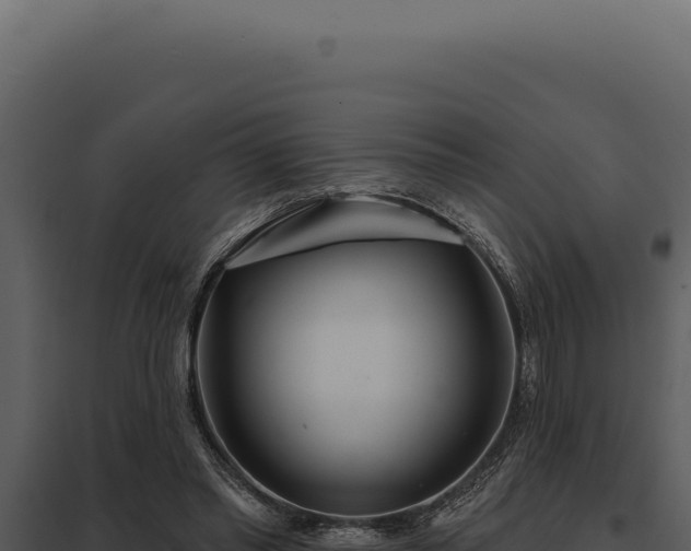 X0000097970397200804011726