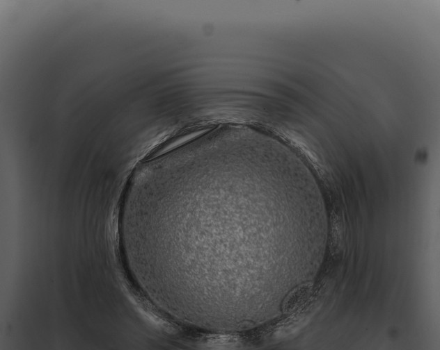 X0000097970398200804011726