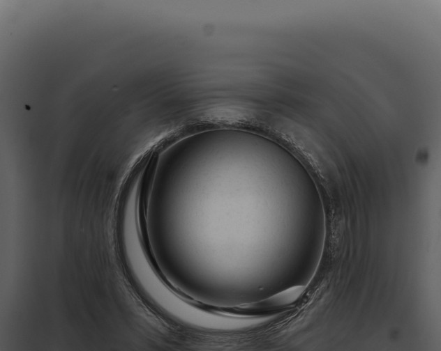 X0000097970399200804011726