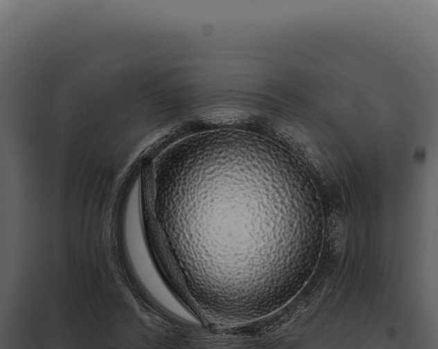 X0000097970400200804011726