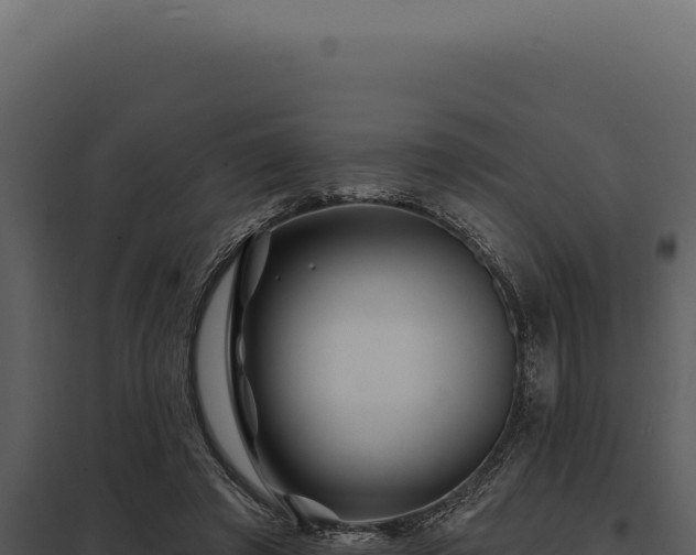 X0000097970401200804011726