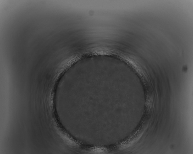 X0000097970402200804011726