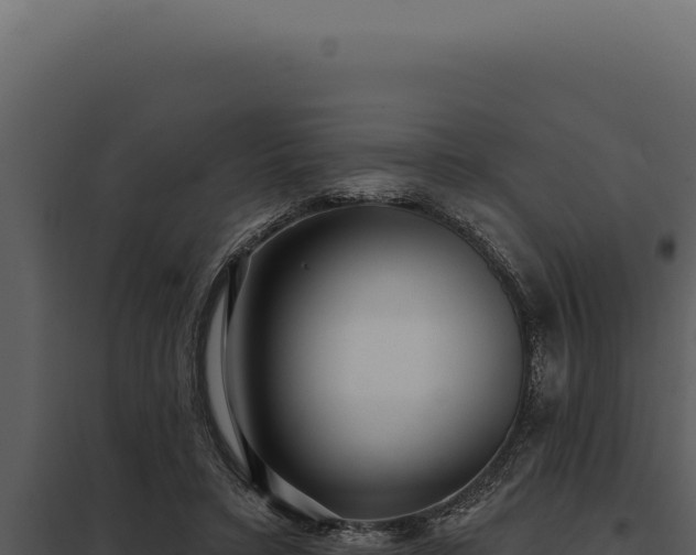 X0000097970403200804011726