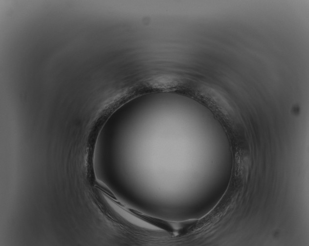 X0000097970404200804011726