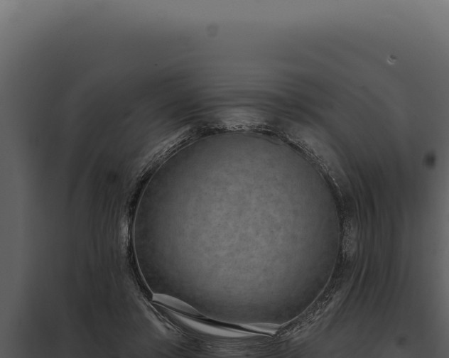 X0000097970405200804011726