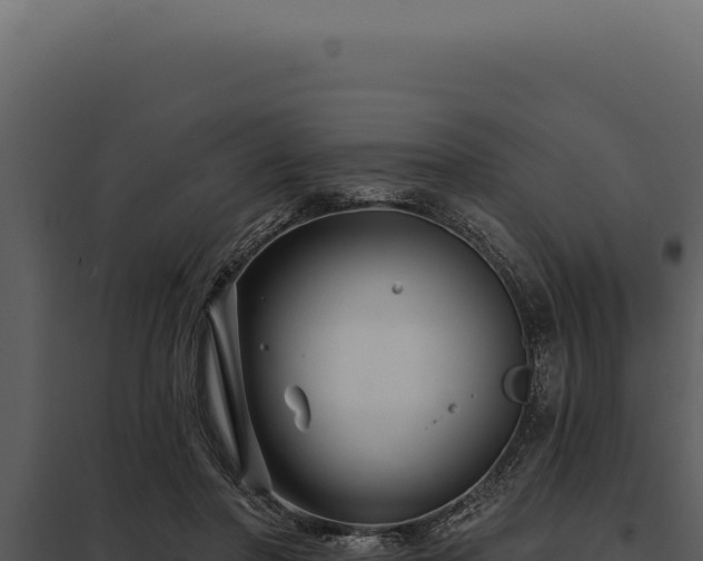 X0000097970406200804011726