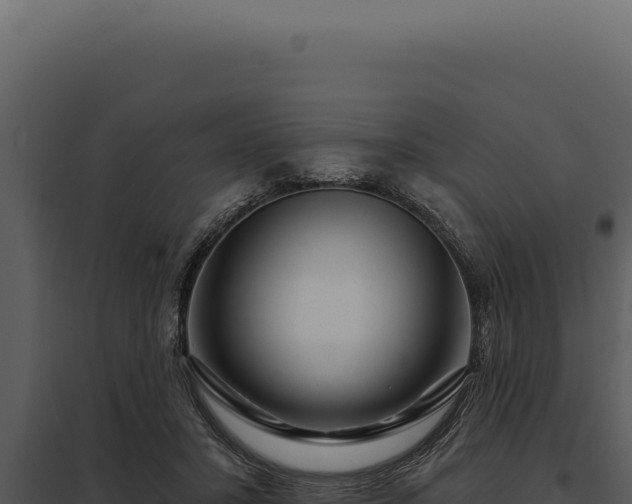 X0000097970407200804011726