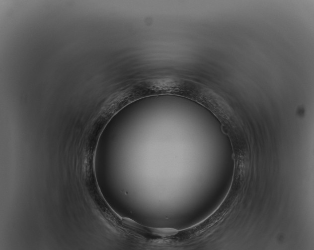 X0000097970408200804011726