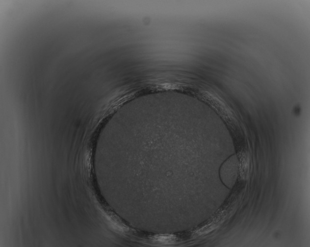 X0000097970410200804011726