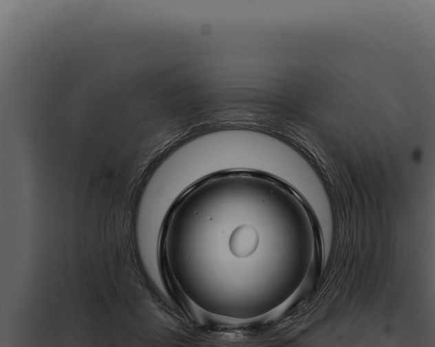 X0000097970411200804011725