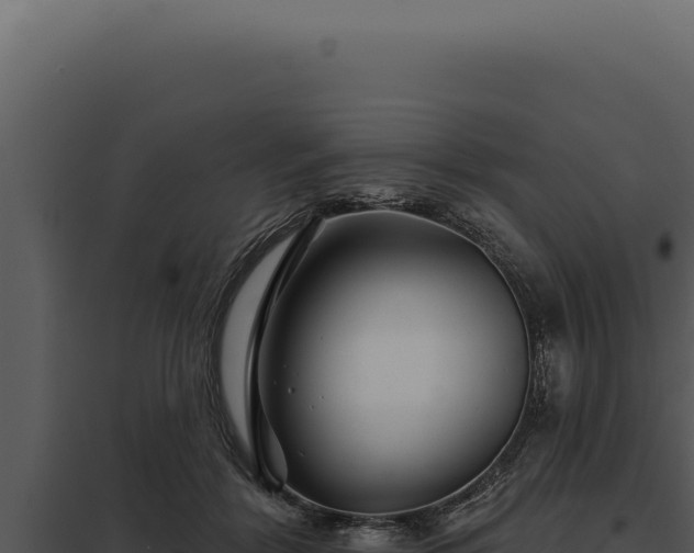 X0000097970412200804011725