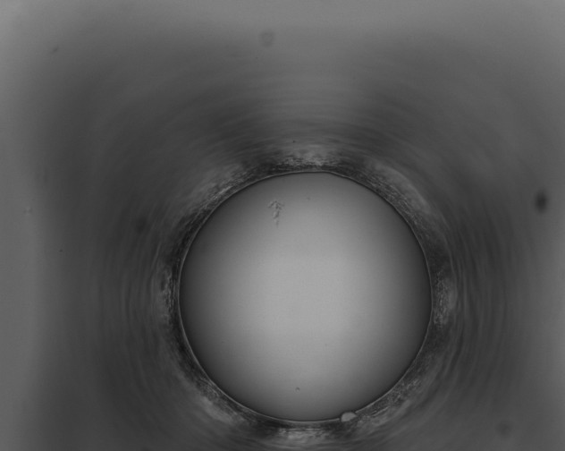 X0000097970414200804011725