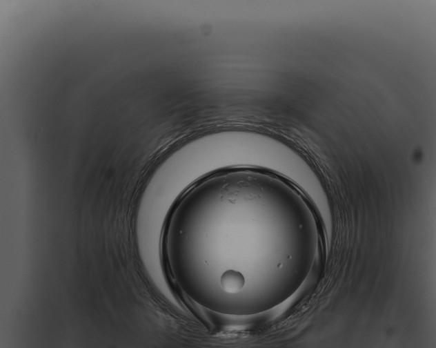 X0000097970415200804011725