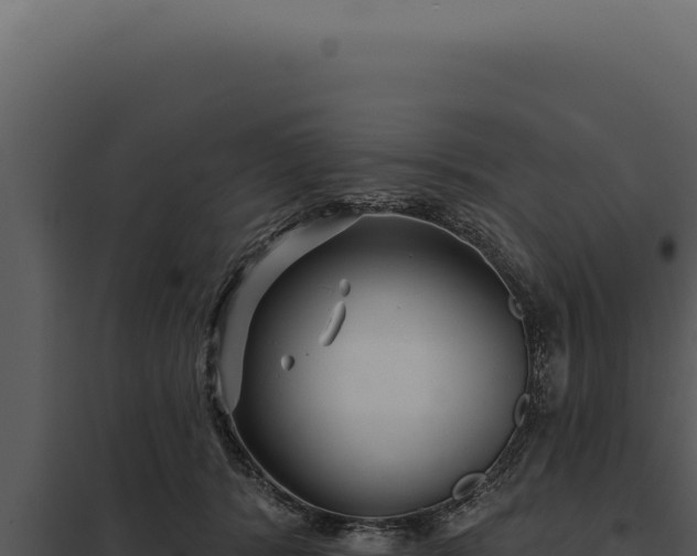 X0000097970416200804011725