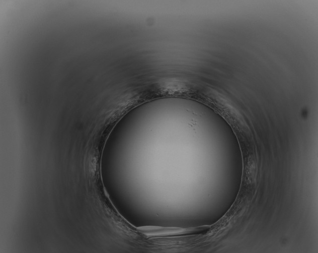 X0000097970417200804011725