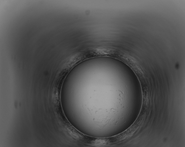 X0000097970418200804011725