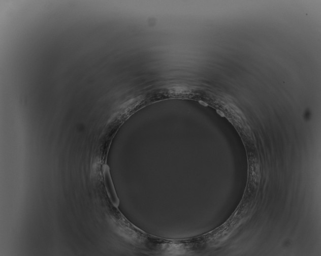 X0000097970419200804011725