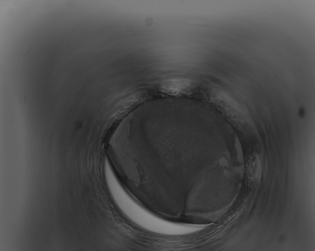 X0000097970420200804011725