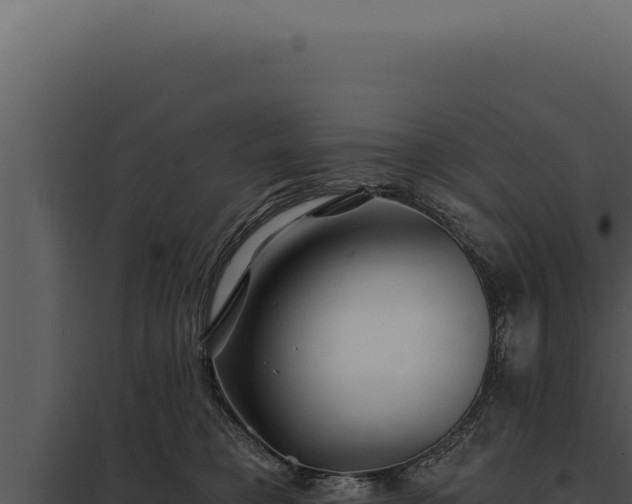 X0000097970421200804011725