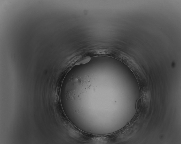 X0000097970422200804011725