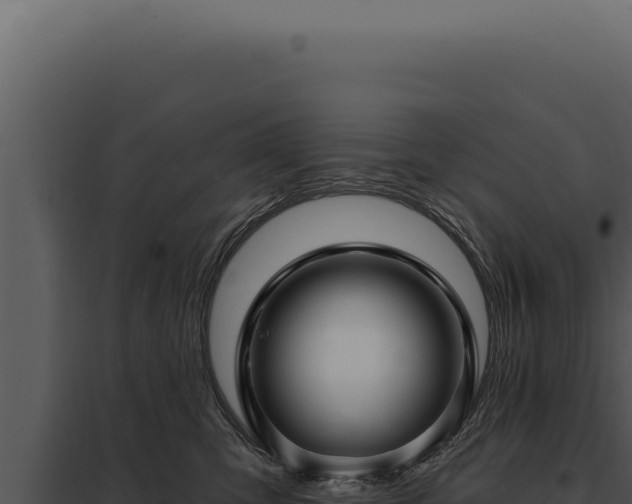 X0000097970423200804011725