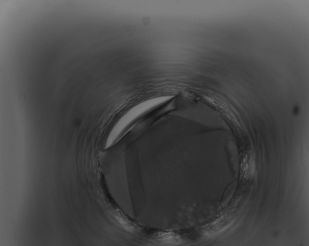 X0000097970424200804011725