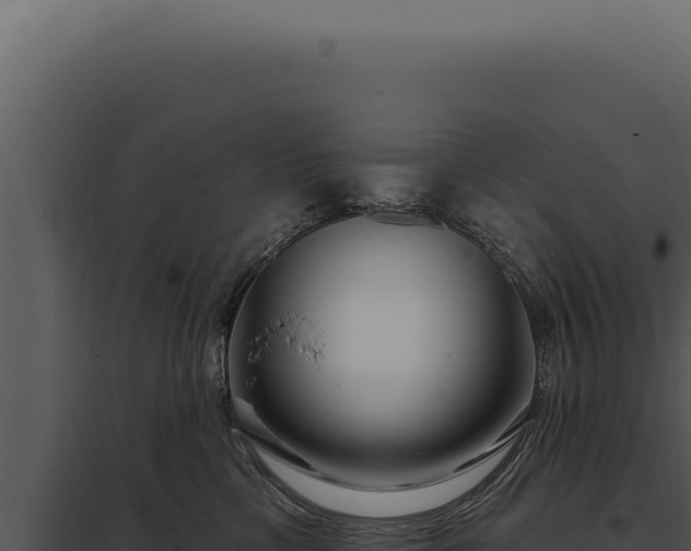 X0000097970425200804011725