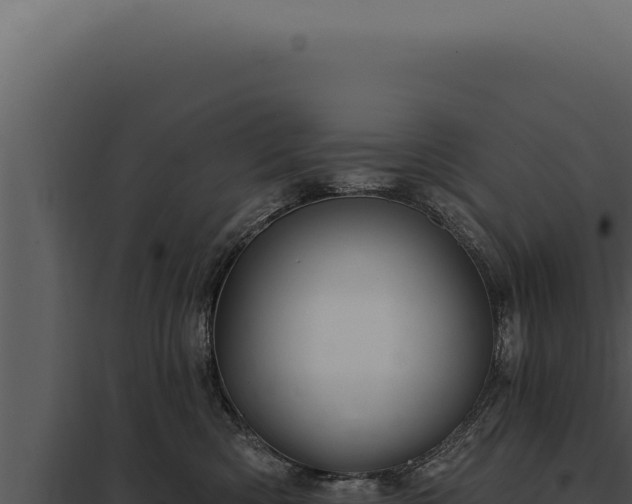 X0000097970426200804011725