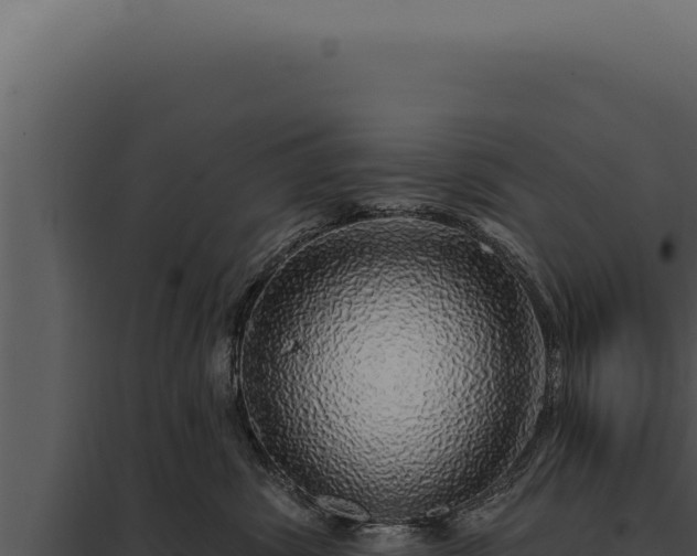 X0000097970428200804011725