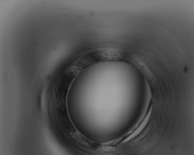 X0000097970429200804011725