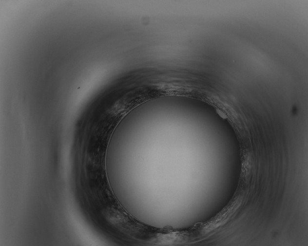 X0000097970430200804011725