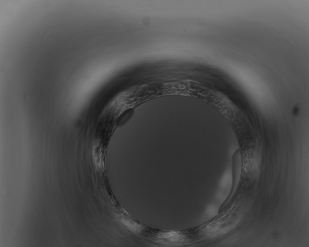 X0000097970431200804011725