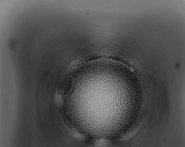 X0000097970432200804011725