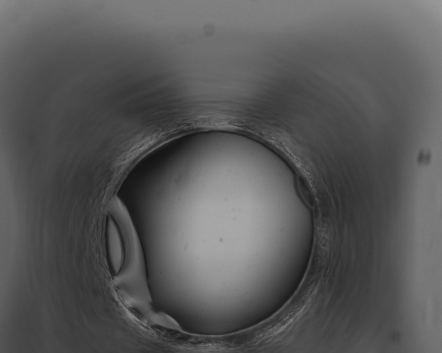 X0000097970433200804011724