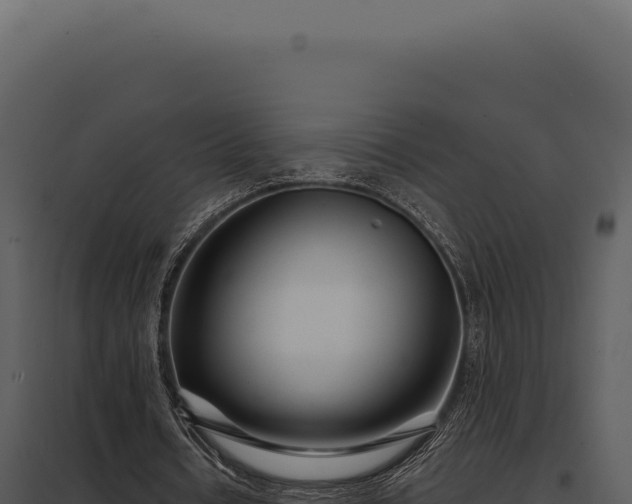 X0000097970434200804011724