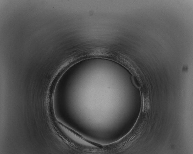 X0000097970435200804011724