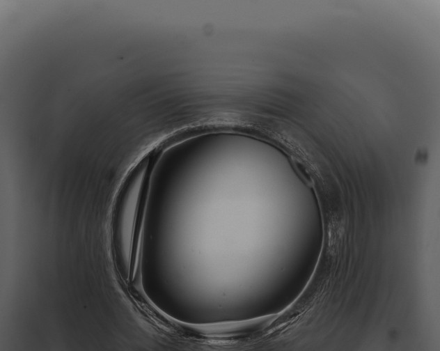 X0000097970436200804011724