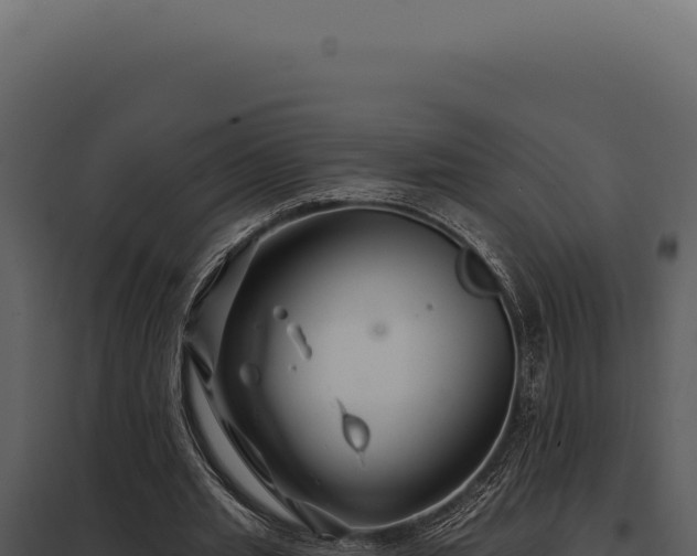 X0000097970437200804011724