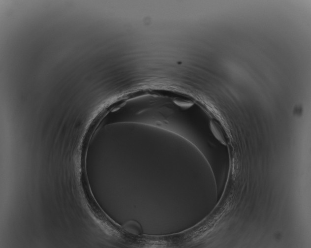 X0000097970438200804011724