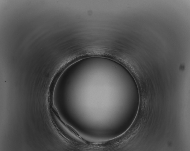 X0000097970439200804011724