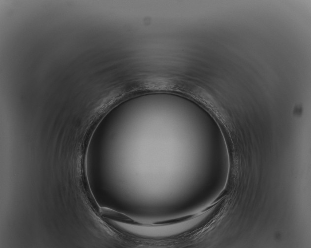 X0000097970441200804011724