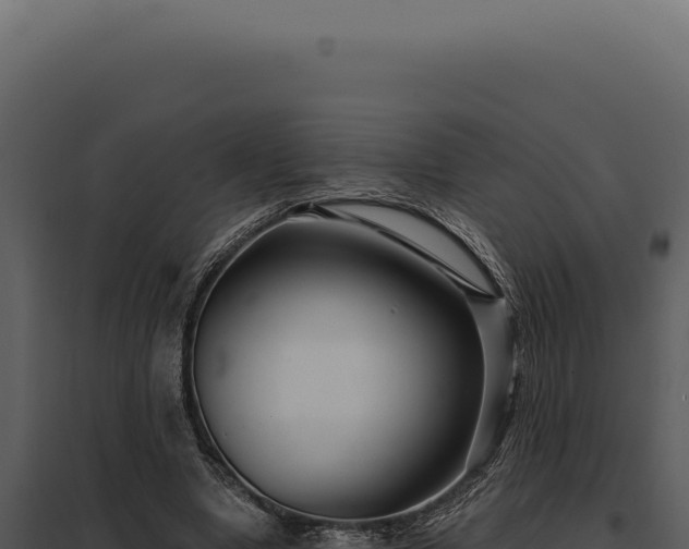 X0000097970442200804011724