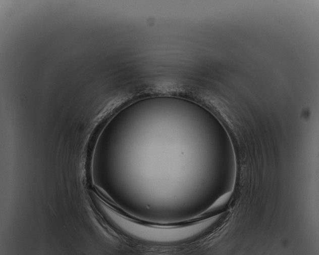 X0000097970443200804011725