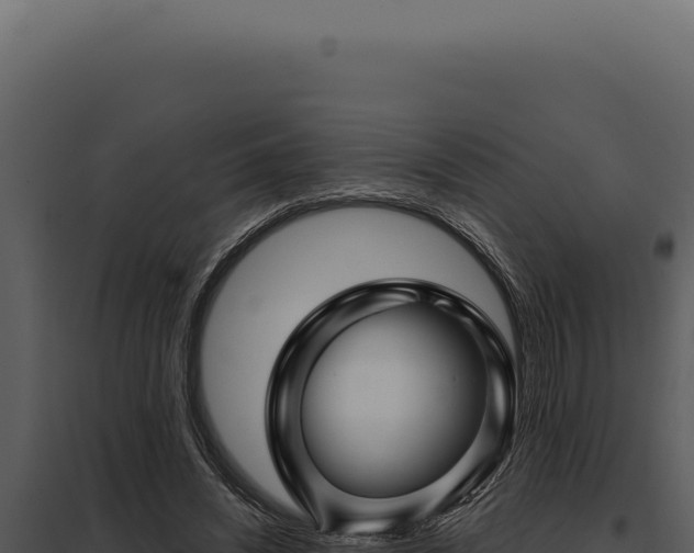 X0000097970444200804011725