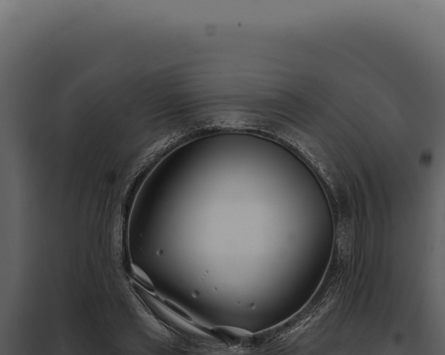 X0000097970445200804011725