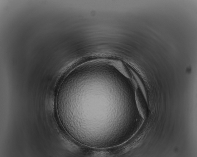 X0000097970446200804011725