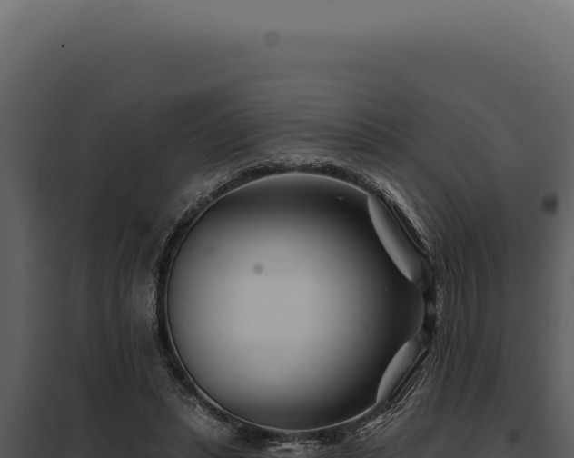 X0000097970447200804011725