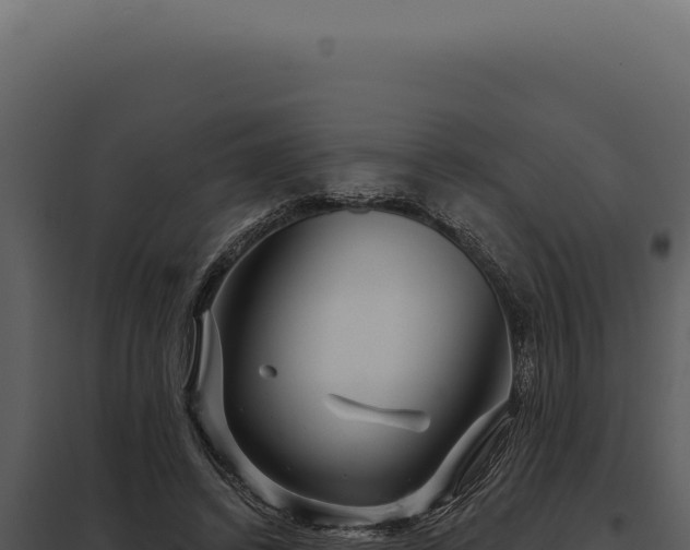 X0000097970448200804011725